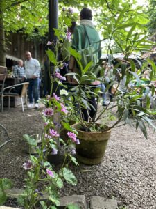 Außenbereich in der Trafostation Neuss. Bepflanze Blumenkübel